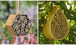 Роль пчел в опылении растений?